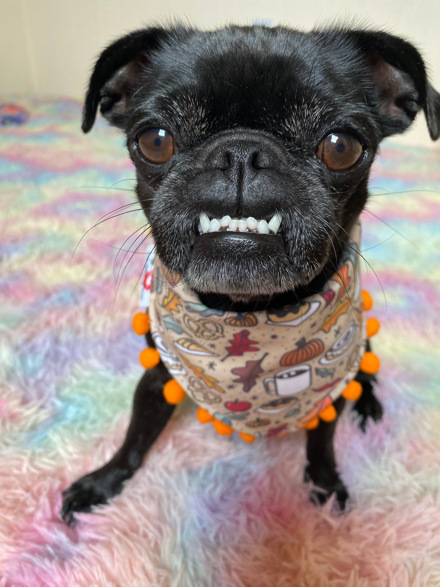 Pumpkin Spice Snax bandana