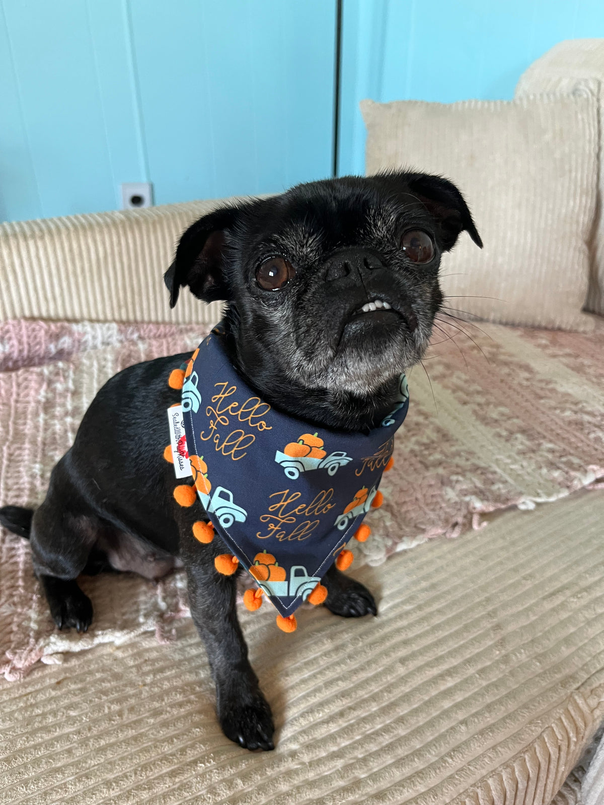 Hello Fall bandana