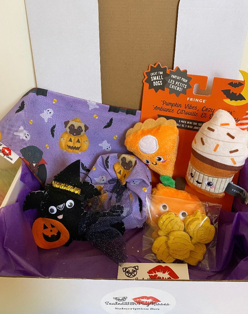 Quarterly Subscription Boxes