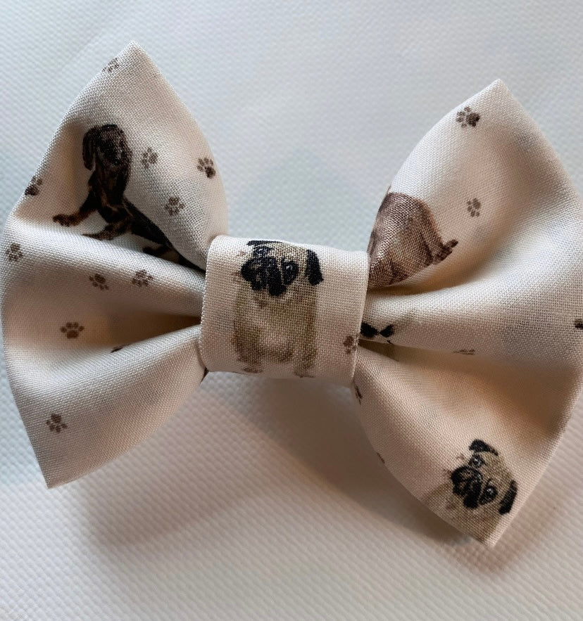 Little Pug bow tie