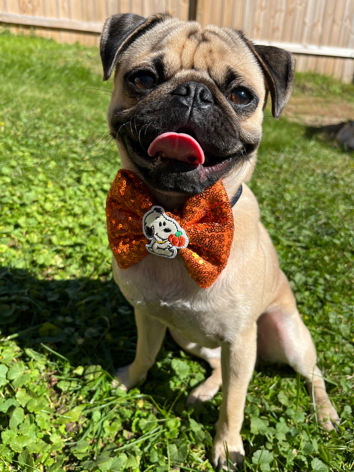 Snoopy Fall bow tie