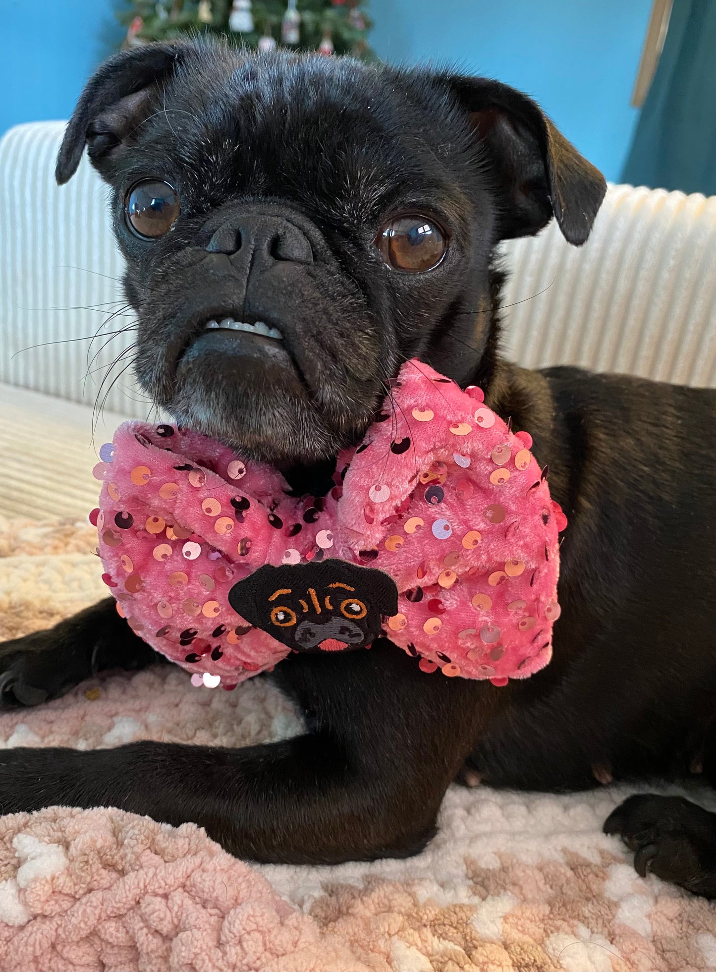 Pugs & Kisses Black bow
