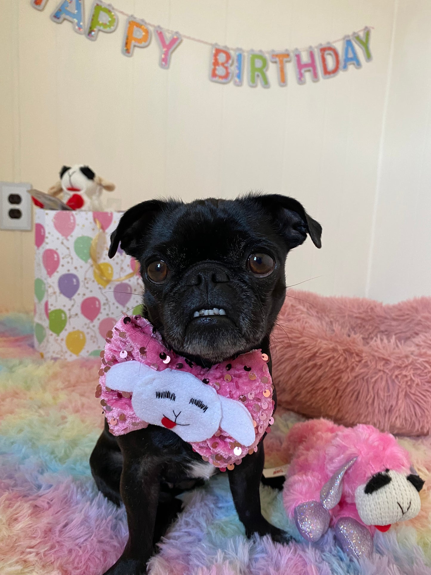 Lamby Love bow tie