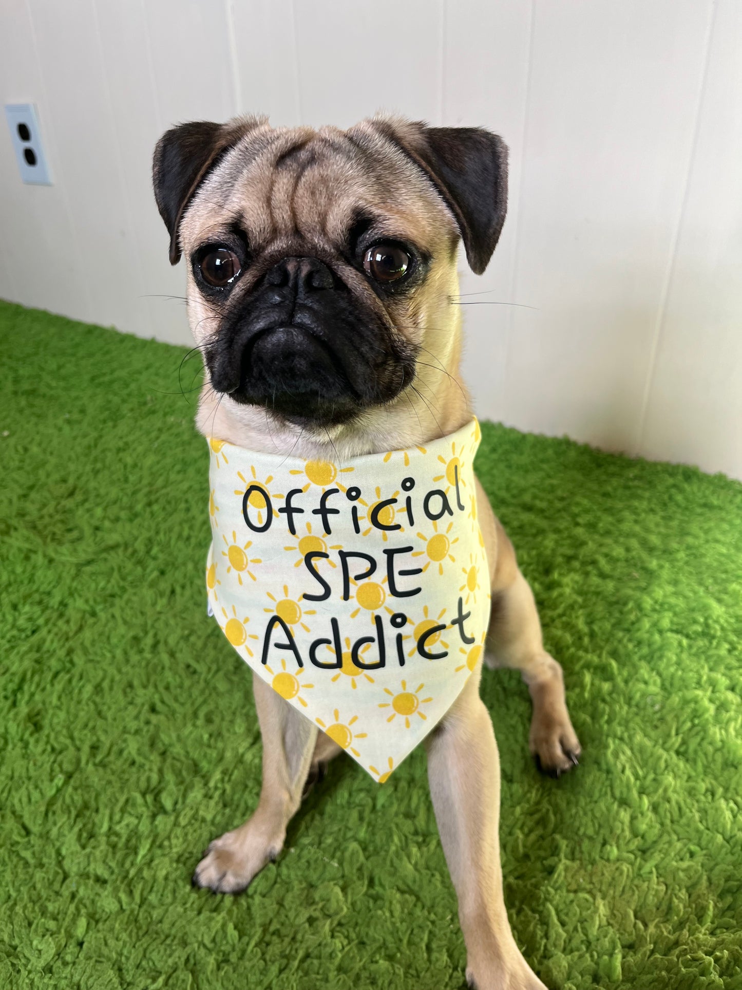 SPE Addict bandana