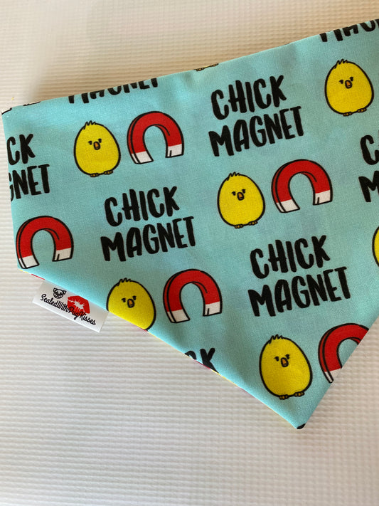 Chick Magnet bandana