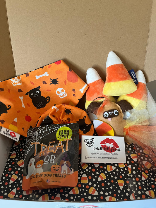 Quarterly Subscription Boxes