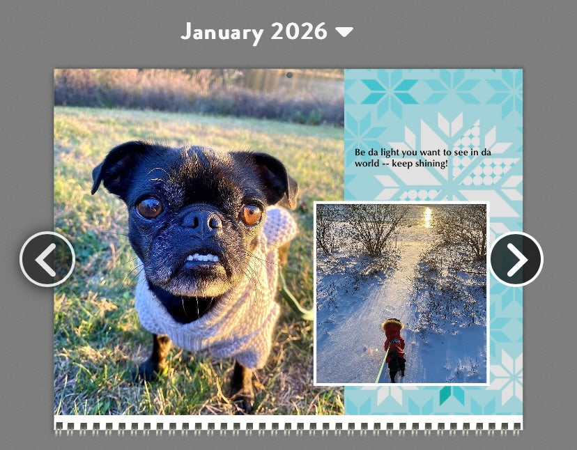 2026 Bella The Jug Wall Calendar