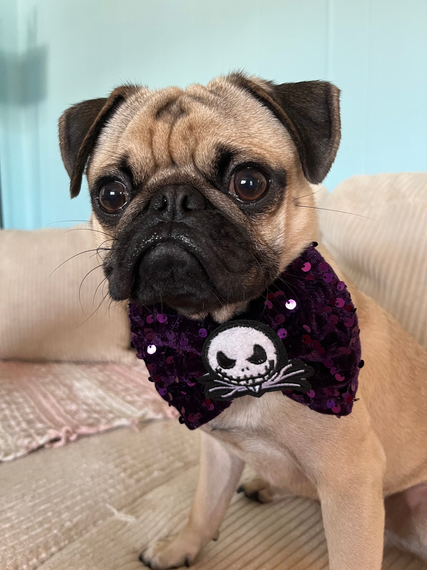 Jack Skeleton bow tie