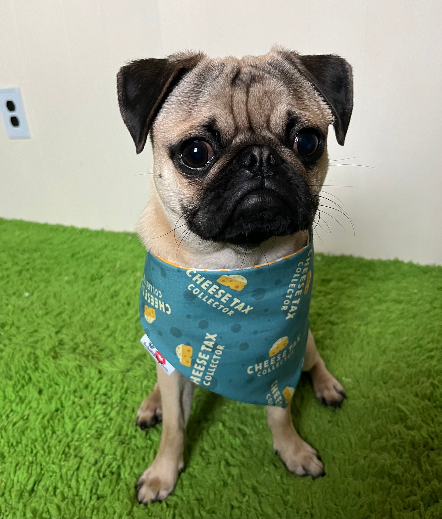 Cheese Tax Collector bandana