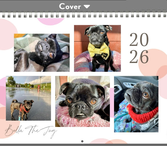 2026 Bella The Jug Wall Calendar