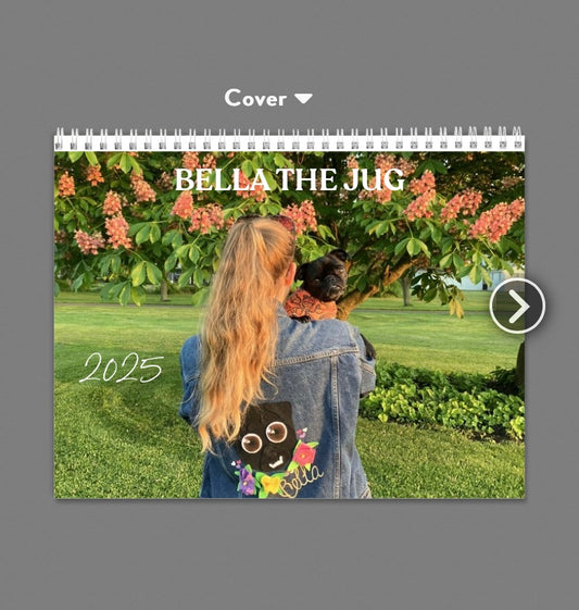 2025 Bella The Jug Calendars