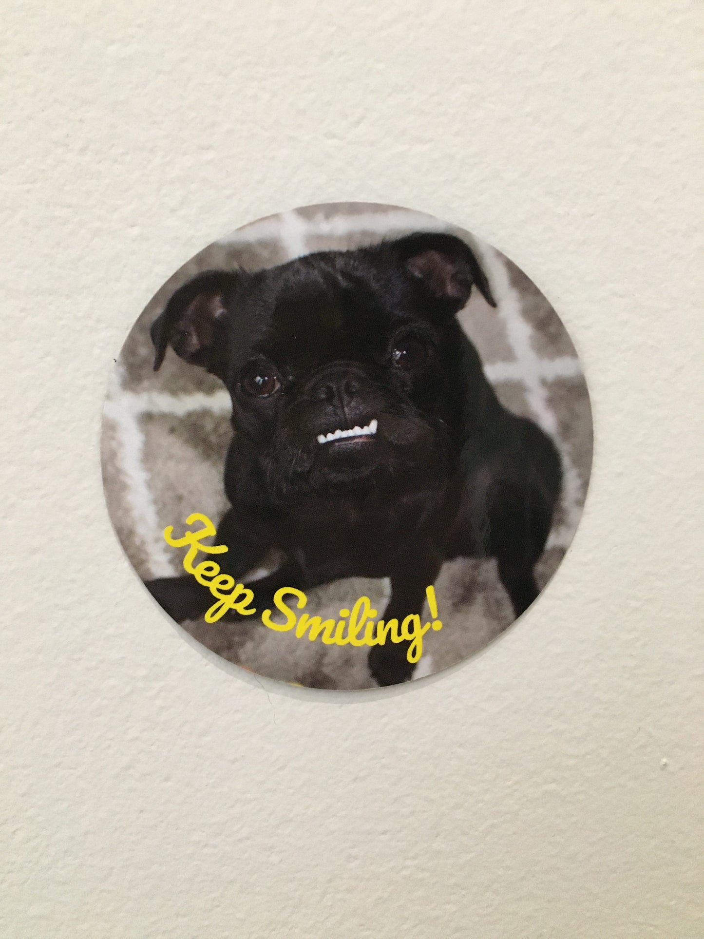 KEEP SMILING Bella The Jug Magnets